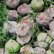 011_Birsalat-2