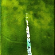 023_Erdo-1
