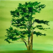 03_Zengocedrus_50x50cm_akvarell_vaszon_2023