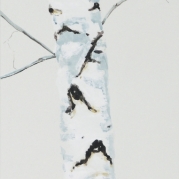 062_Eg-fele-2