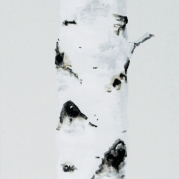 063_Eg-fele-3