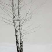 074_Nyirfa-2