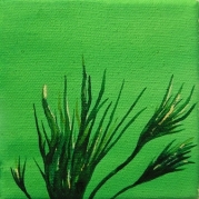 095_Csira-5