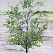 109_Nyirfa-4