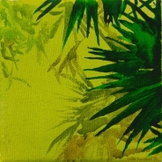 165_Pafranypalma