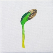 166_Magbol-2