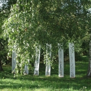 Nyirfaultetes-10