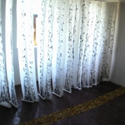 Nyirfaultetes-05